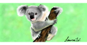 Drawing of Koala by laur@whaleums