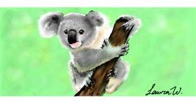 Koala - autor: laur@whaleums