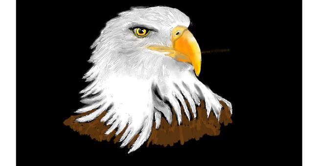 Drawing of Eagle by SAM AKA MARGARET 🙄