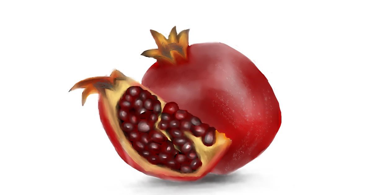 Drawing of Pomegranate by Jan