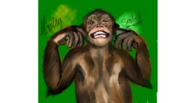 Drawing of Monkey by Galactic