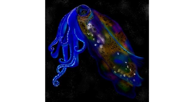 Drawing of Cuttlefish by Mell 🌠