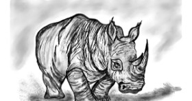 Drawing of Rhino by Çhåching