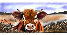 Drawing of Cow by Chaching