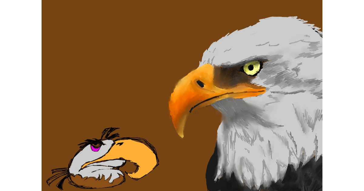 Full Size Drawing
