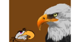 Drawing of Eagle by Star girl