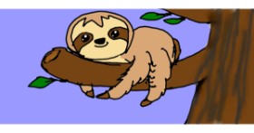 Drawing of Sloth by Rainbow