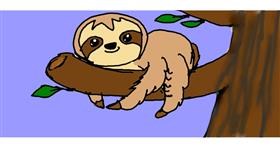 Drawing of Sloth by Rainbow