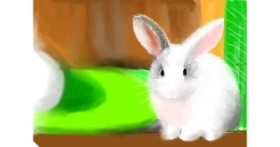 Drawing of Bunny by Pam