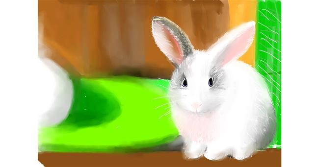Drawing of Bunny by Pam