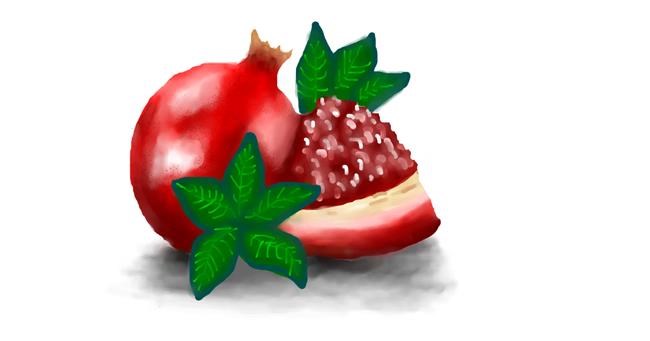 Drawing of Pomegranate by ninci_luli