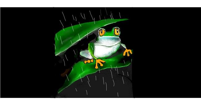 Drawing of Frog by Gillian