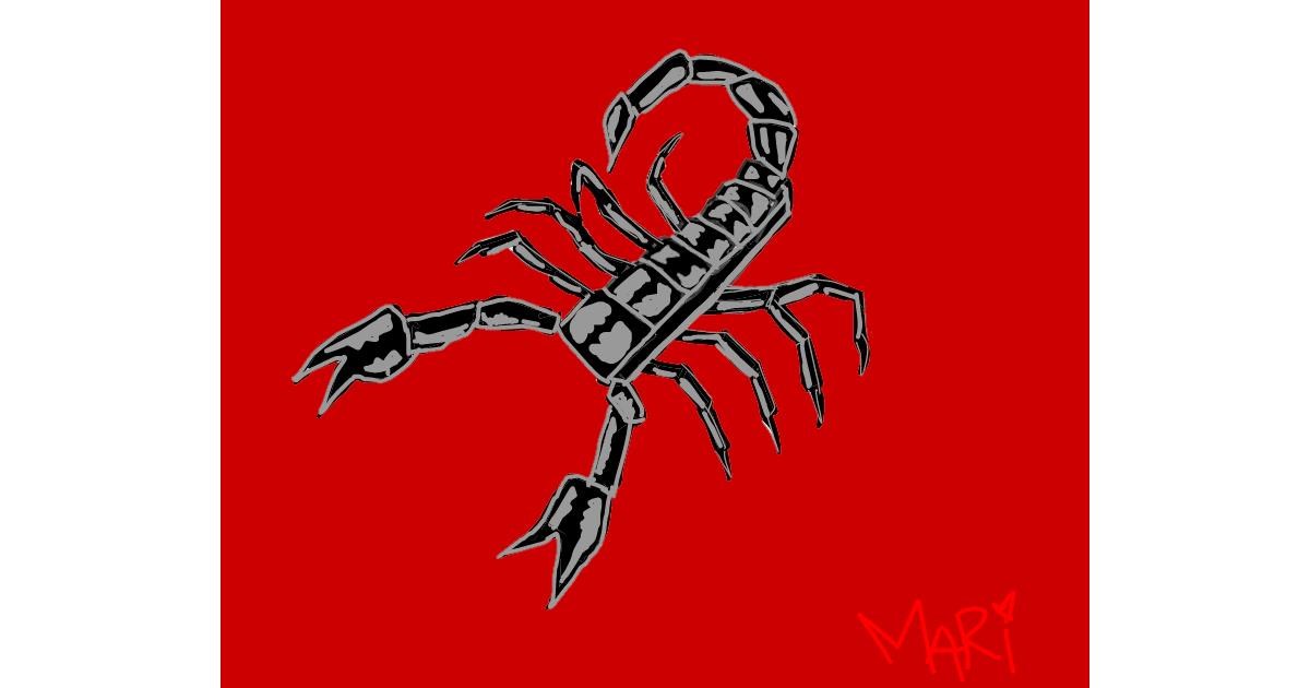 Drawing of Scorpion by MaRi