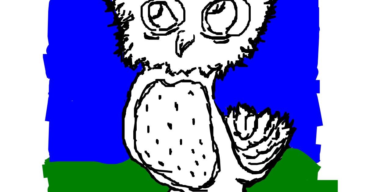 Drawing of Owl by kuku
