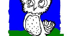 Drawing of Owl by kuku