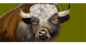 Drawing of Bison by justme❤️