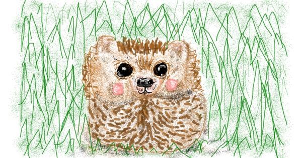 Igel Zeichnung von Banana - Drawize Galerie!