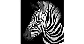 Drawing of Zebra by Lou