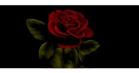 Rose-Zeichnung von Annie