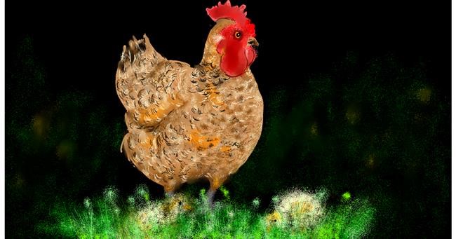 Drawing of Chicken by Eclat de Lune