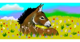 Drawing of Donkey by Debidolittle
