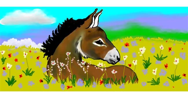 Drawing of Donkey by Debidolittle