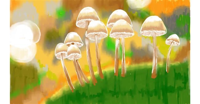 Drawing of Mushroom by SAM AKA MARGARET 🙄