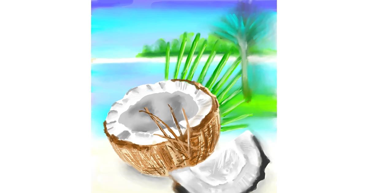 Drawing of Coconut by Vinci