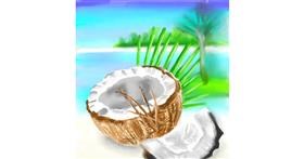 Drawing of Coconut by ⋆su⋆vinci彡