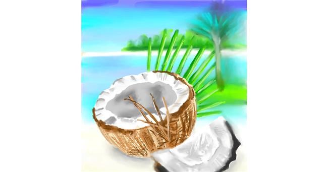 Drawing of Coconut by ⋆su⋆vinci彡