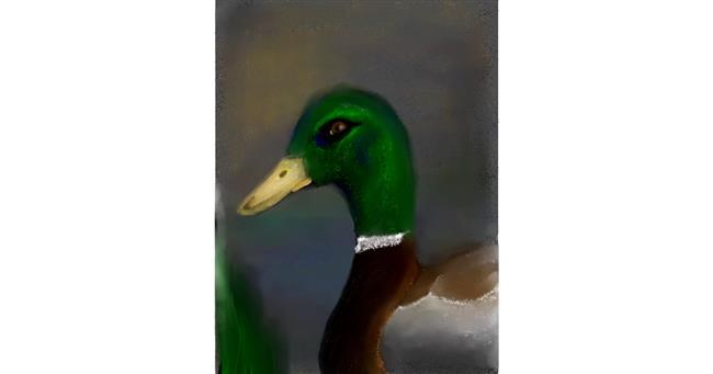 Drawing of Duck by 🌌Mom💕E🌌