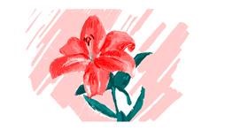 Drawing of Flower by Женя