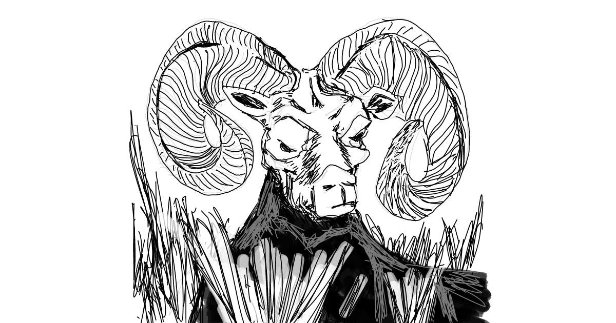 Drawing of Sheep by Dettale