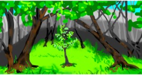 Drawing of Tree by Swimmer