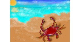Drawing of Crab by Debidolittle