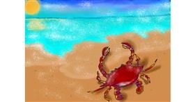 Drawing of Crab by Debidolittle