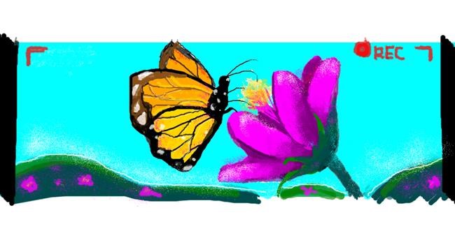 Schmetterling-Zeichnung von SacredCross