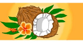 Drawing of Coconut by Visay