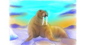 Drawing of Walrus by Wizard