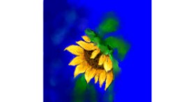 Suncokret - autor: Joe