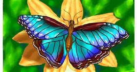 Drawing of Butterfly by Lise