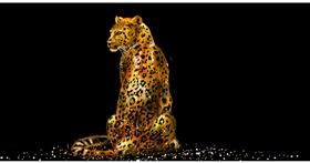 Gepard - autor: Eclat de Lune