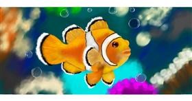 Drawing of Clownfish by Annie