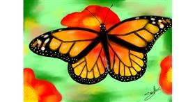 Drawing of Butterfly by Sophie_draw24
