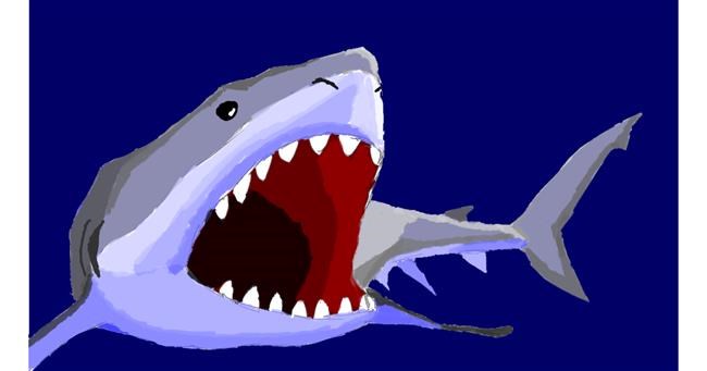 Drawing of Shark by Sam
