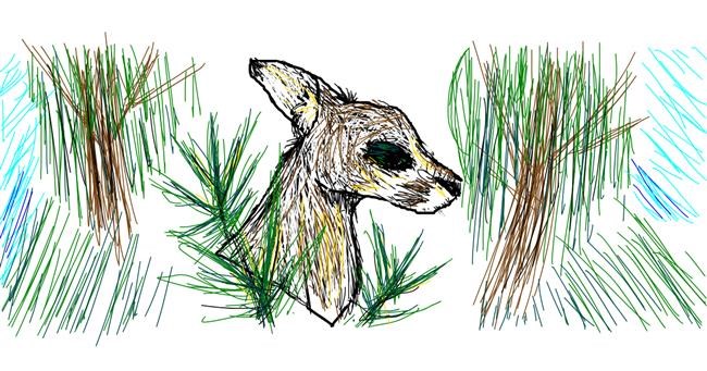 Känguru-Zeichnung von Nan