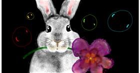 Drawing of Bunny by Eclat de Lune