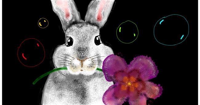 Drawing of Bunny by Eclat de Lune
