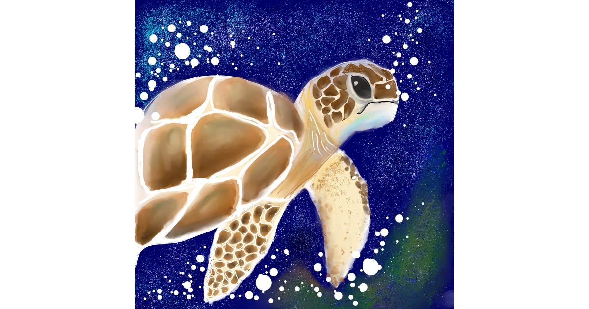 Drawing of Tortoise by Manali