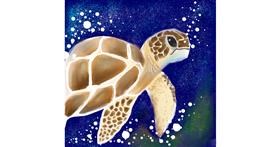 Drawing of Tortoise by Manali